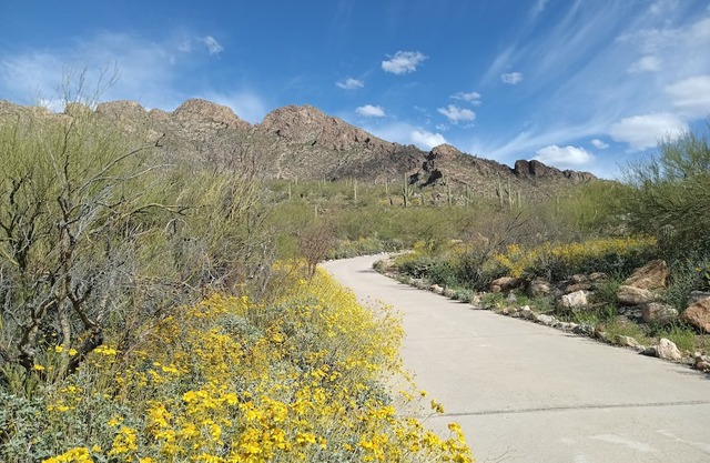 Nestled on Pusch Ridge Mountain in Oro Valley with full kitchen