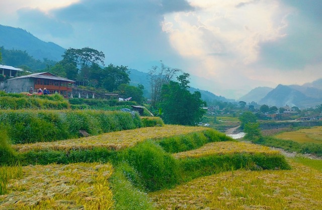 Kiêm Nguyễn homestay tả van