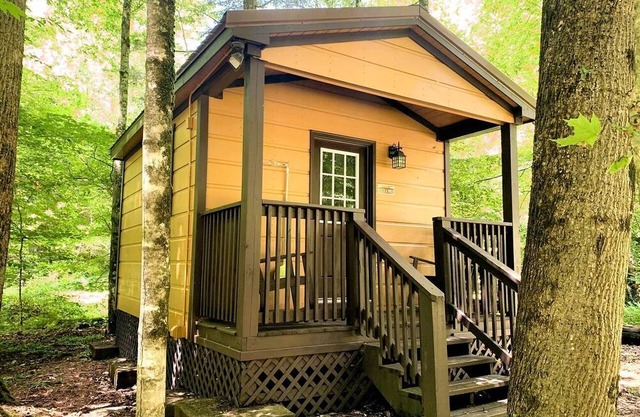 Amazing Wooden Cabin in Monterville, West Virginia