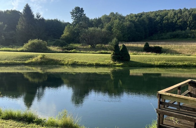 Wyman’s Willow. Home on sprawling property with a pond, hiking & wildlife.