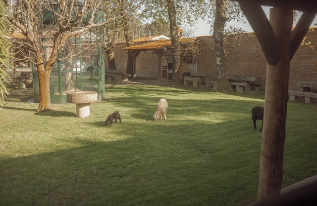 Quinta Verde Esperança - Casa do Sobreiro