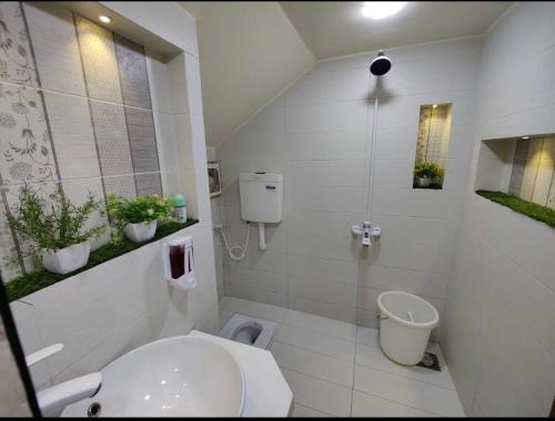United guest house