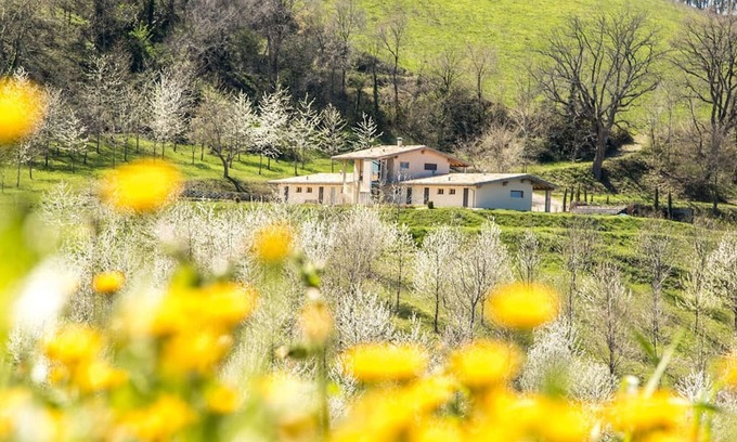 Falerone Villa | Villa Zen - Villa Zen