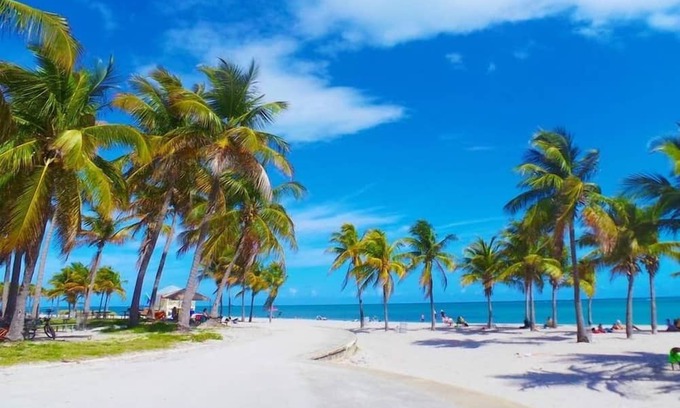 Coconut Grove Apartamento | STUDIO, Lateral Sea View, Balcony, Hotel Arya, Kitchenette. FREE PARK/POOL/GYM