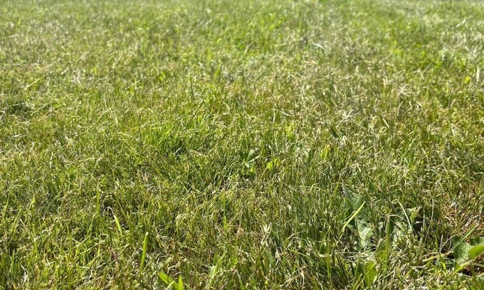 Fazouro Cabina | Cabañas Camiño do Mar