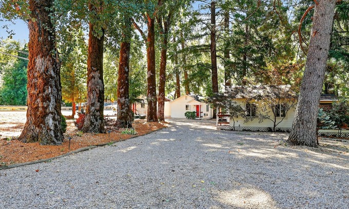 Cobb Apartamento | Rouge Cobb Mountain Hotel - Cabin 2