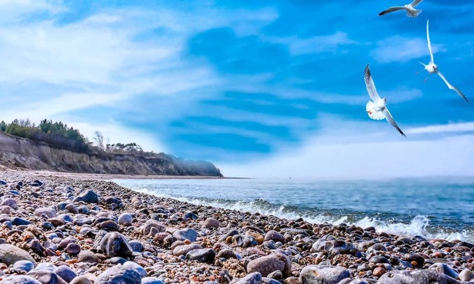 Bakenberg Apartamento | Bungalow Village Sea or Less - Category 1 No.11 - Ferienpark Bakenberg