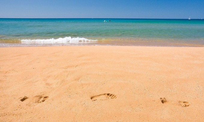 Narrabeen Apartamento | Point Blank - Direct Beachfront