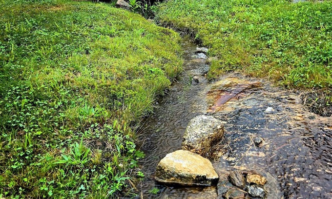 Washington Alquiler De RV | Peaceful campsite with WiFi in Washington