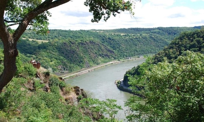 Sankt Goarshausen Apartamento | Vacation apartment/apartment for 5 guests with 78m² in Sankt Goarshausen (266473)