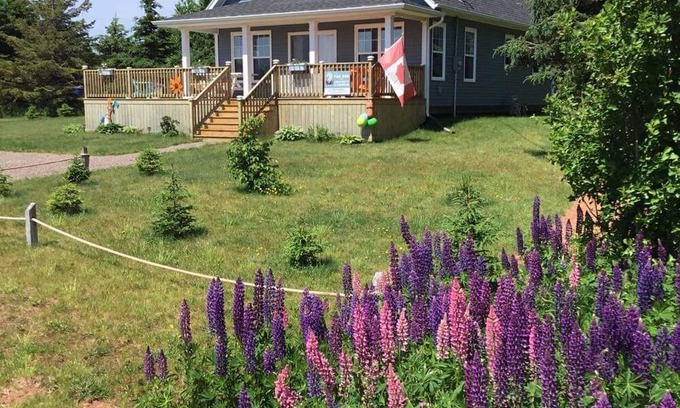Darnley Cabaña | Cosy well equipped Cottage minutes walk to Thundercove Beach.