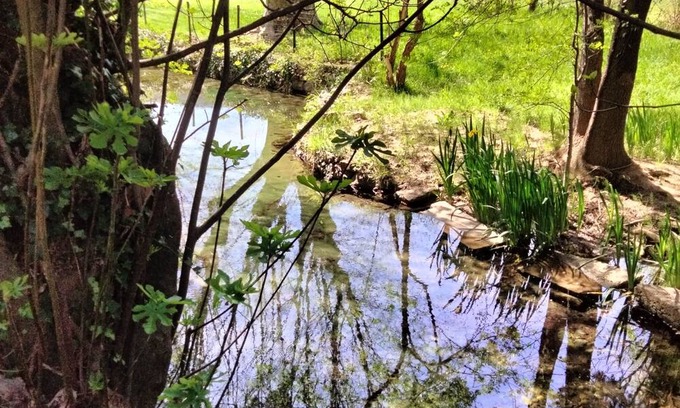 Forcalqueiret Otro | La Ruralité en Provence Verte 40 min de la mer Avec Source Ruisseau Oiseaux