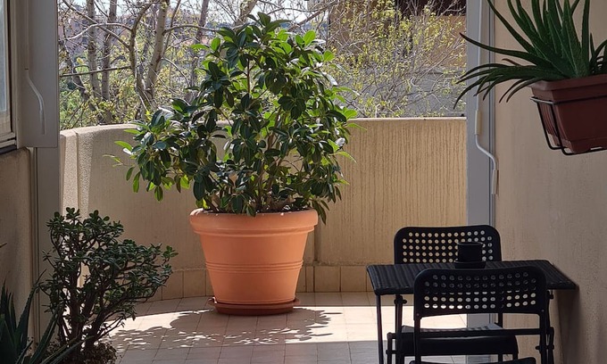 Rome Province Casa | Holiday Home 'Rooms and Comfort Apartment' with Shared Garden, Wi-Fi and Air Conditioning