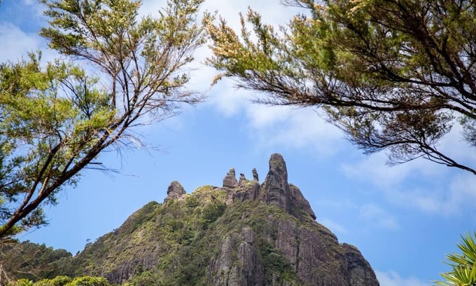 Whangarei Heads Casa | The A Frame at Bay View