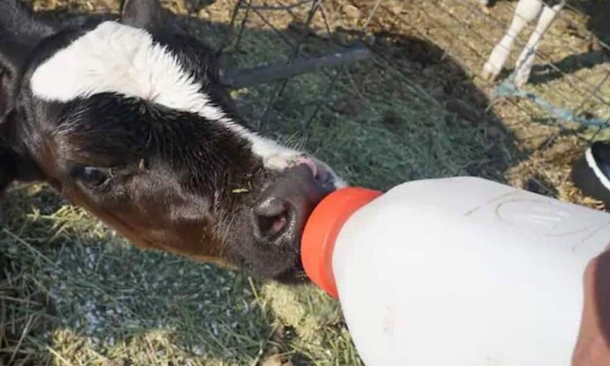 Beaver County Casa | Farmhouse Upstairs Apartment