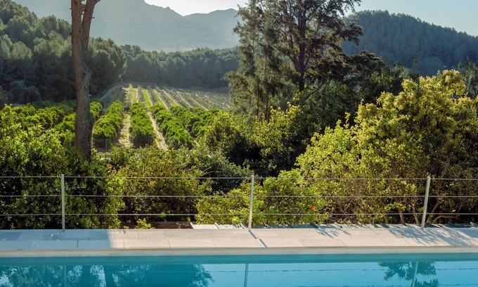 Alzira Villa | Casa Ginkgo