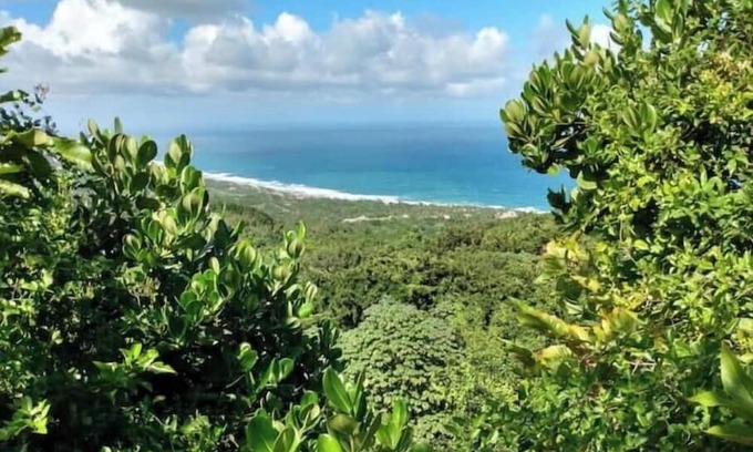 Newcastle Alquiler De RV | Camping Barbados - Bring Your Own Tent - Groups 2