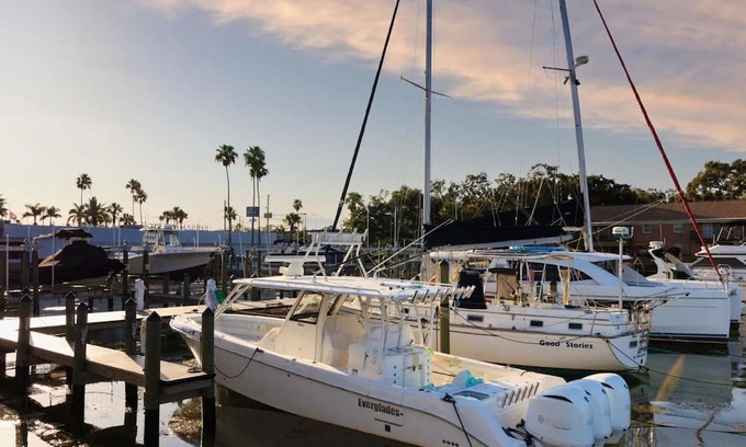 Pinellas Point Hotel | Explore St. Pete's Gems | Artistic Discoveries & Natural Wonders Await