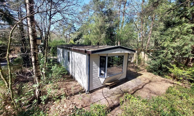 Hattemerbroek Chalet De Esquí | Forest cottage Dennenrust on the Veluwe in Hattemerbroek. Pets are welcome!