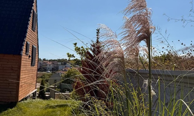Sinop Casa | MERKEZDE DOGAYLA İÇ İÇE DENİZE 100 METRE MESAFEDE BUNGALOV.