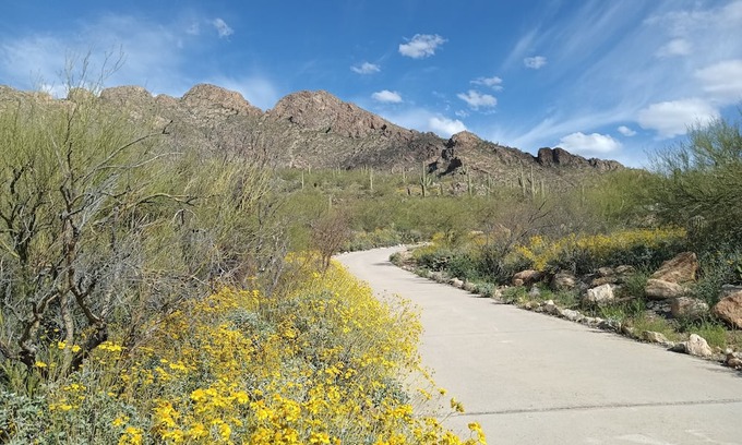 Oro Valley Cabaña | Nestled on Pusch Ridge Mountain in Oro Valley with full kitchen