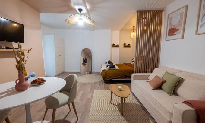 Romilly-sur-Seine Apartamento | Magnificent renovated Studio downtown 3pers wifi