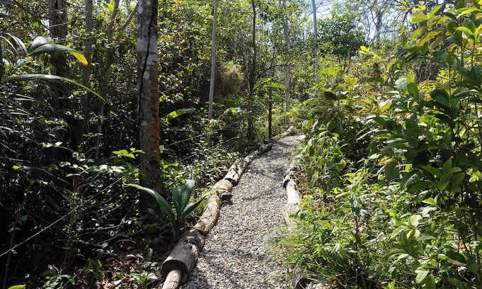 Palenque Casa | 4-bedroom beachfront paradise in Palenque with AC, pool, walking trail and more!