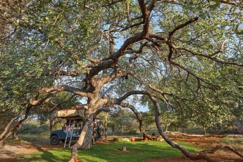 Tsumeb Otro | ZuriCamp - Campsite Halishi