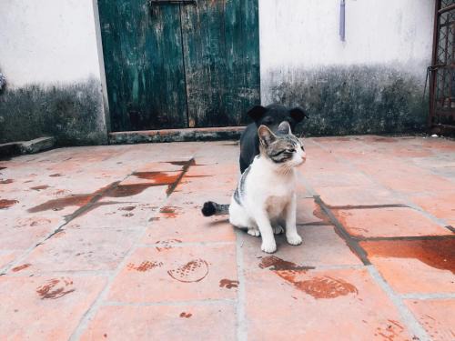 Viet Yen Casa | Quán Bà Tám