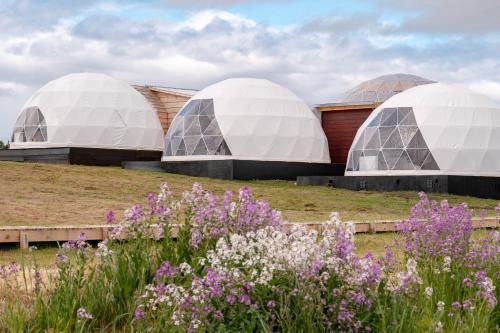 Puerto Natales Cabina | Garden Domes